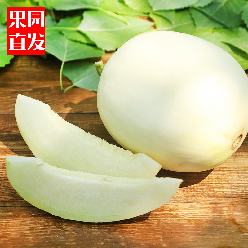 闫良甜瓜十斤装